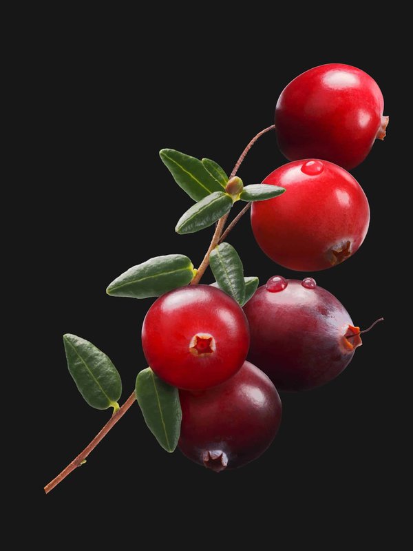 Quels types de camisoles choisir pour une superposition élégante sous un blazer?