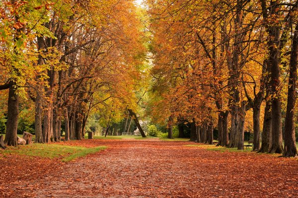 Quelle est la meilleure façon de porter des talons en liège pour une occasion décontractée?